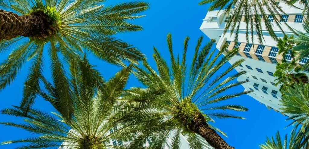 PFS Realty se apodera del sur de la Florida