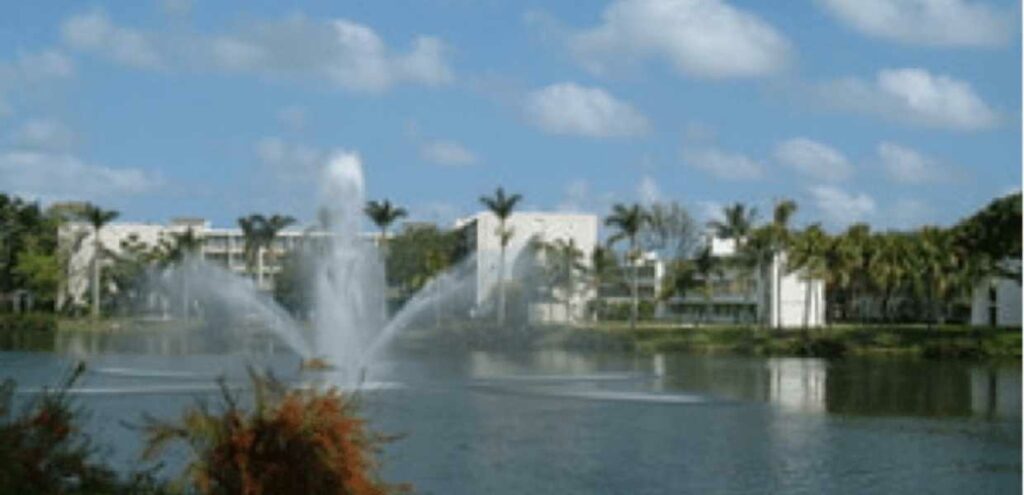 Universidades en Miami