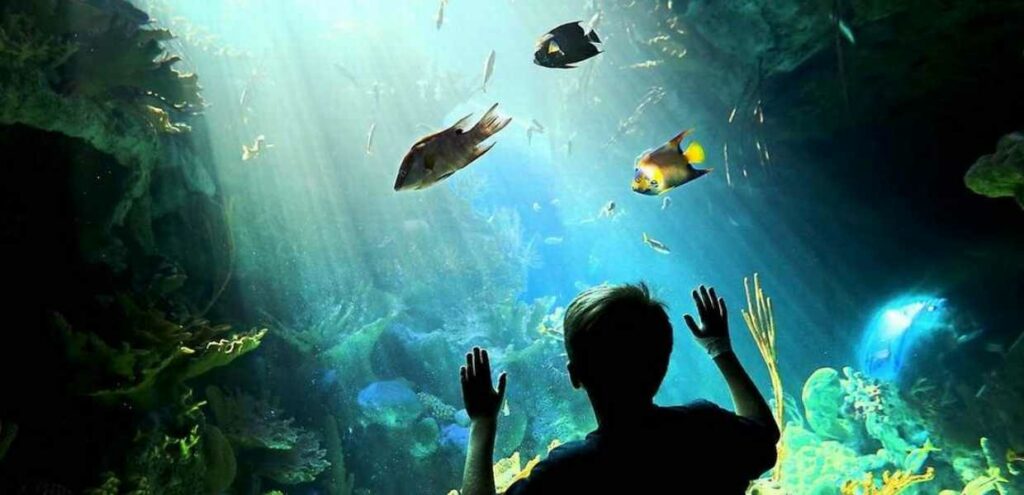 Los 10 mejores museos de Miami en 2018
