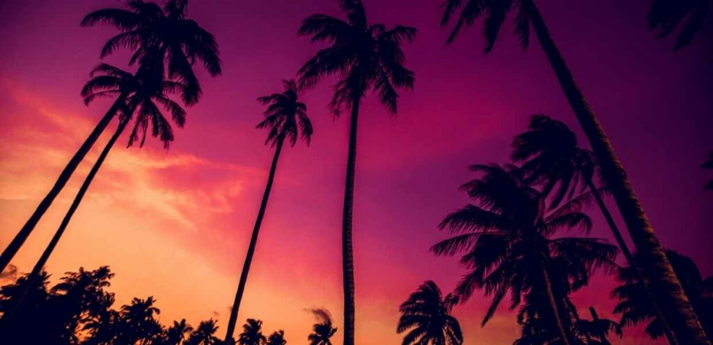 Clima de Miami: en qué temporada viajar y cuáles son sus ventajas