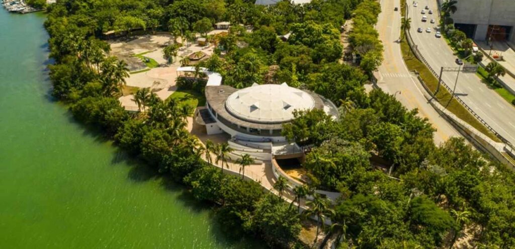 Jungle Island: una aventura salvaje en la ciudad de Miami